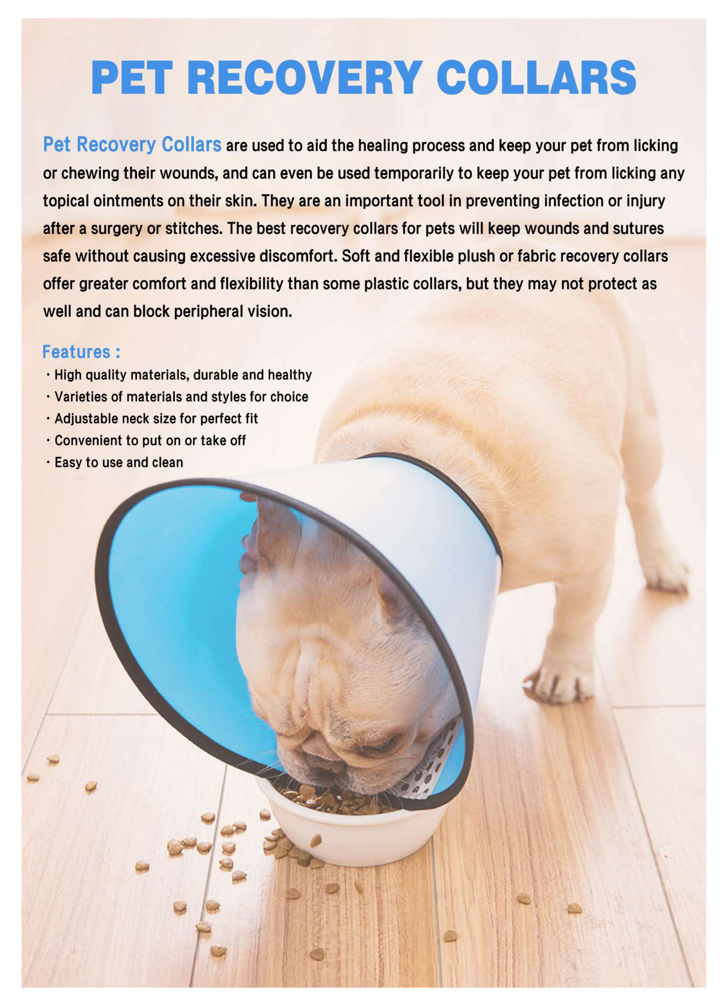 Pet Recovery Collar Pet Recovery Collar